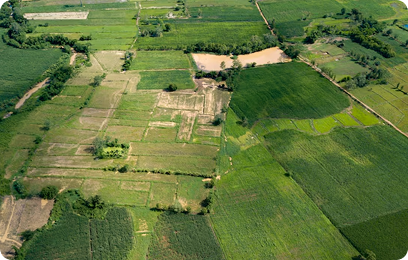 Нове підприємство