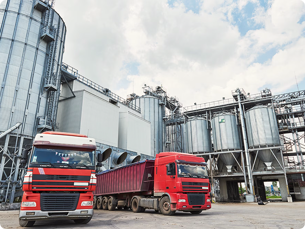 Нова виробнича лінія